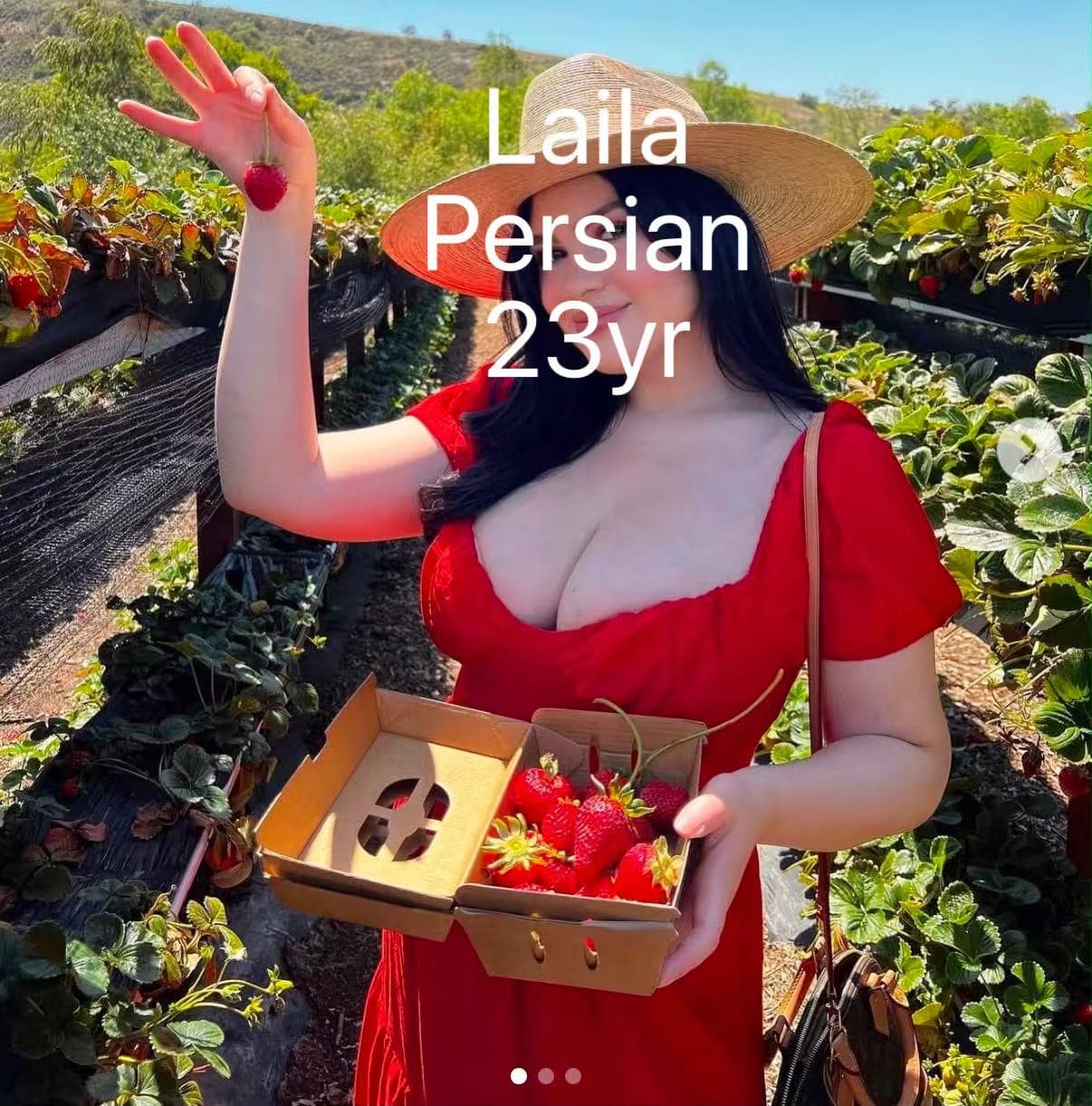 Laila